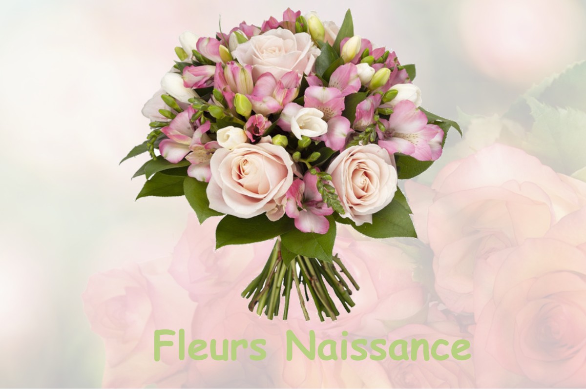 fleurs naissance SAINT-NICOLAS-AUX-BOIS